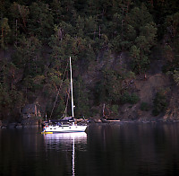 Sailboat before Sunset